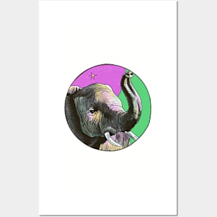 Elephant- Circle edit Posters and Art